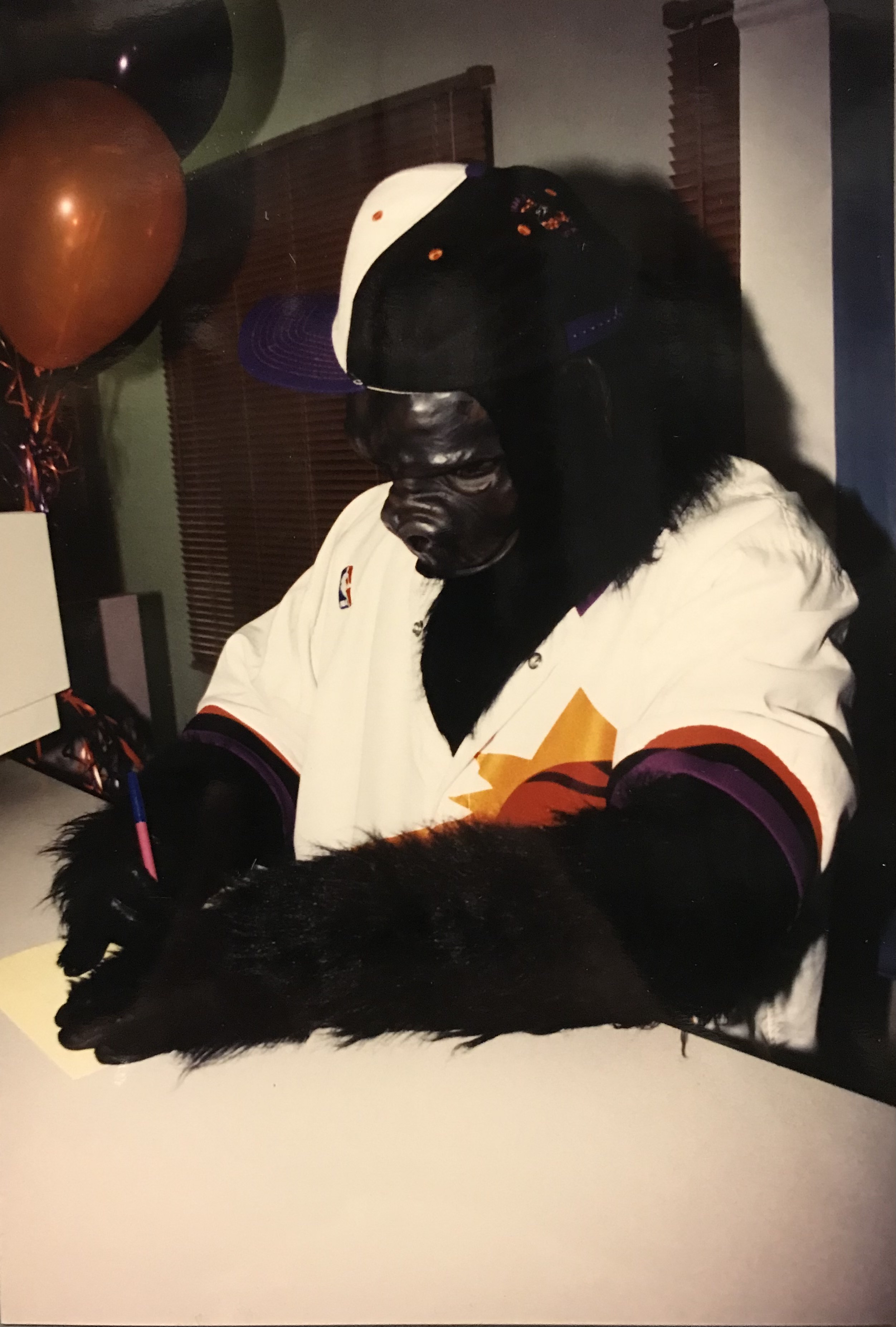 Suns Gorilla taking his written test