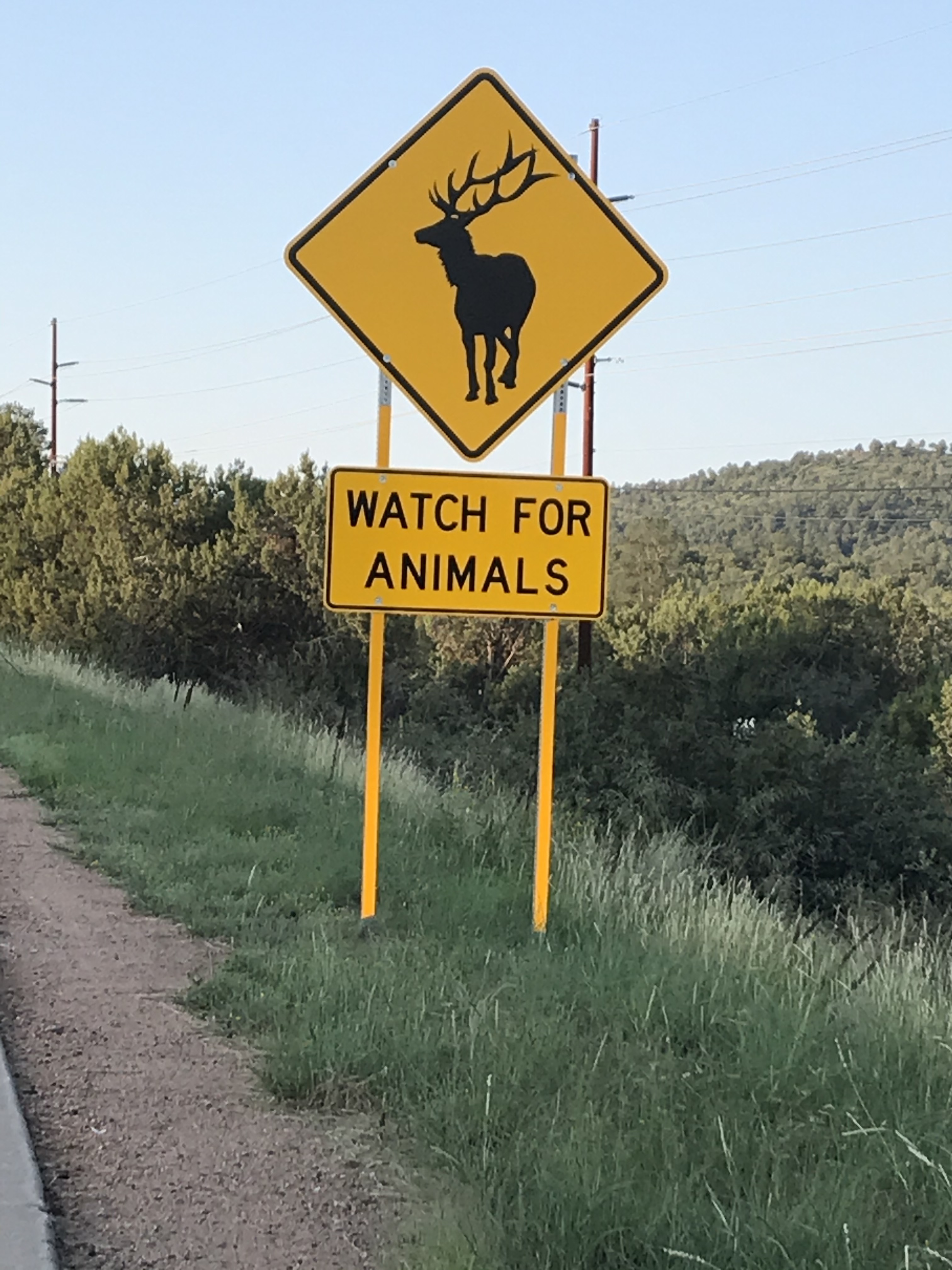 New “watch for animals” signs protect motorists and wildlife