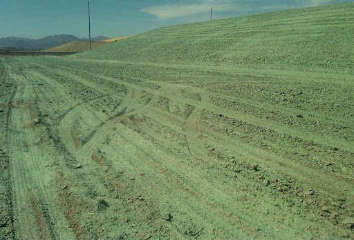 Mound of green dirt