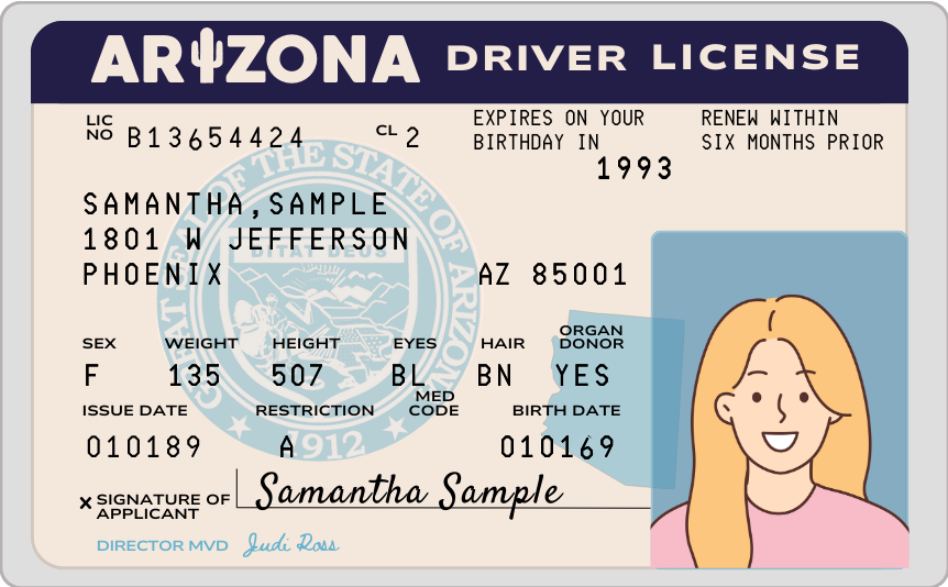 Graphic of a sample driver license from 1989.