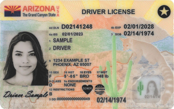 Sample driver license from 2023.