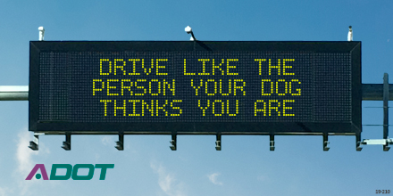 Dynamic Message Board: Drive Like The Person Your Dog Thinks You Are Dynamic Message Board: Drive Like The Person Your Dog Thinks You Are