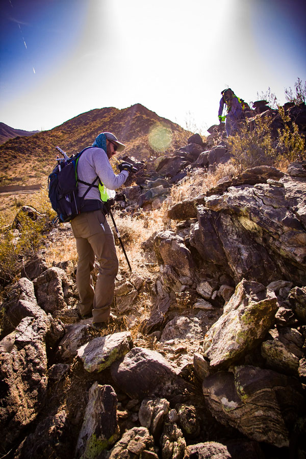 chuckwalla-relocation3