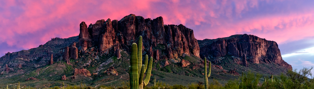 Home page silder Image