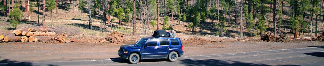 Driver on SR89A