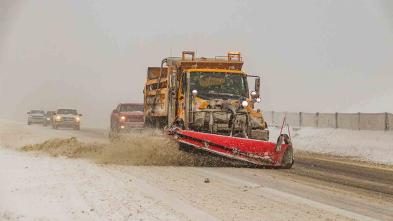 Snowplow and vehicles