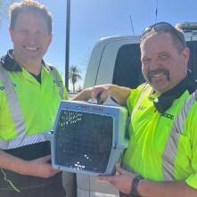 ADOT workers rescues a cat on a highway
