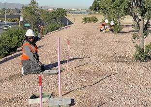 ASU student checks irrigation along highway.