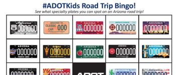 A bingo card with various Arizona specialty license plates.