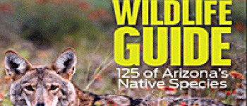 Arizona Wildlife Guide Cover
