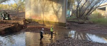ADOT and NAU biologists work to protect endangered species in the river bed of the Verde Valley Bridge Interstate I-17