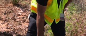 A person wearing a yellow safety vest and black pants stands outdoors on a rocky, grassy area, pointing at a patch of green plants near their feet.