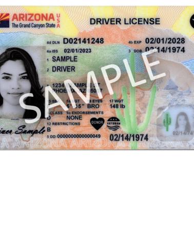 Driver license sample