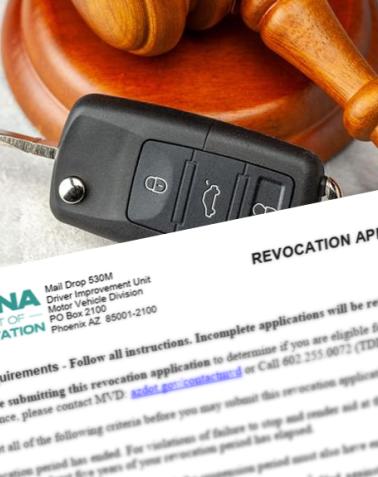 License Revocation and Suspension