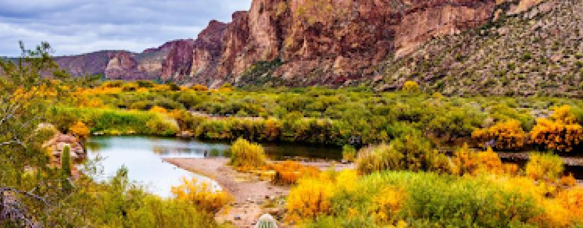 Scenica Arizona