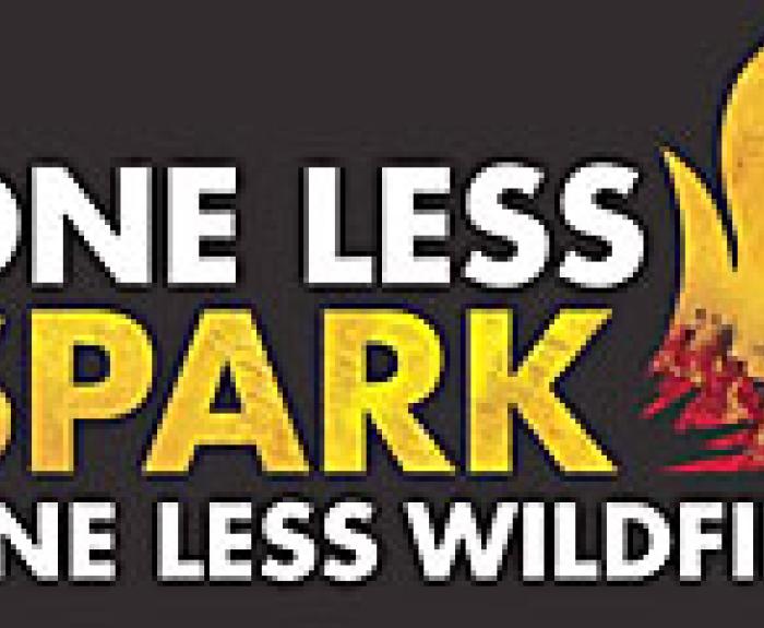 Spark – The Campaign for Park