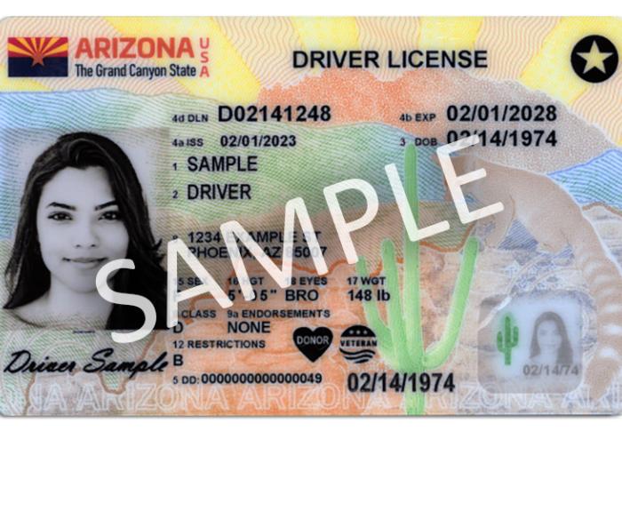 Driver license sample