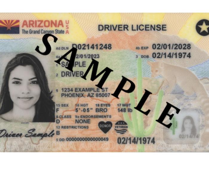 Photo of the new Driver's License design starting in 2023