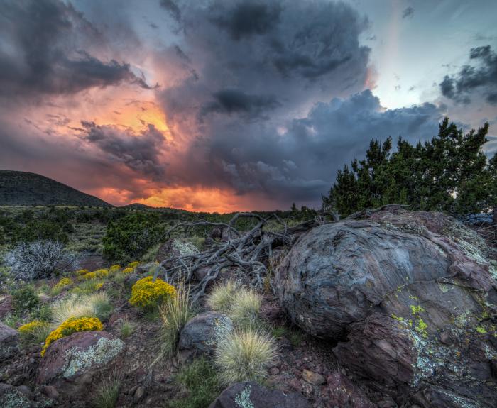 Winning photo of northern Arizona
