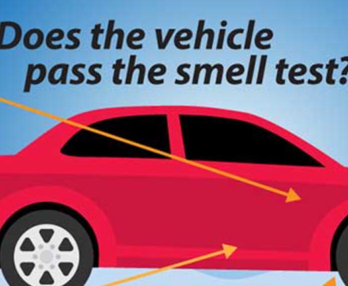 A graphic describing the signs of flood damage on a used vehicle