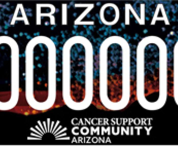 Cancer Support For Families License Plate