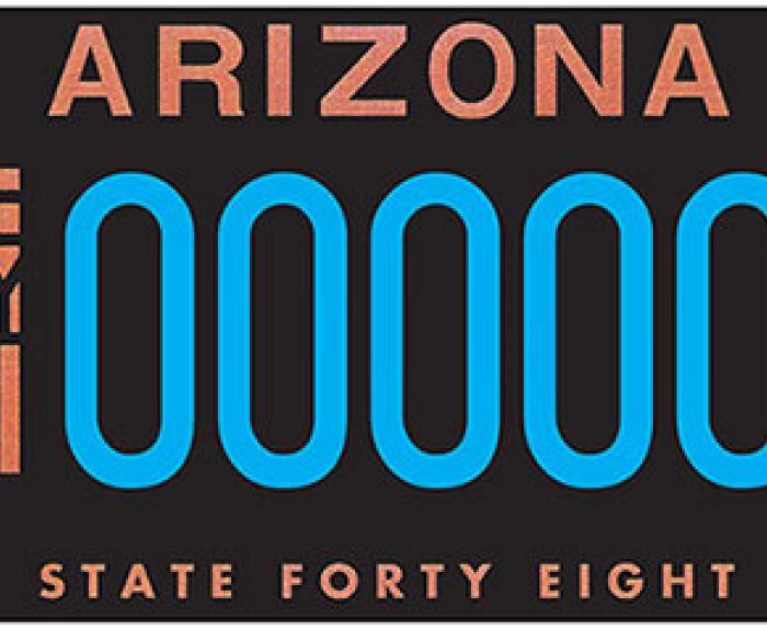 State Forty Eight Standard Plate