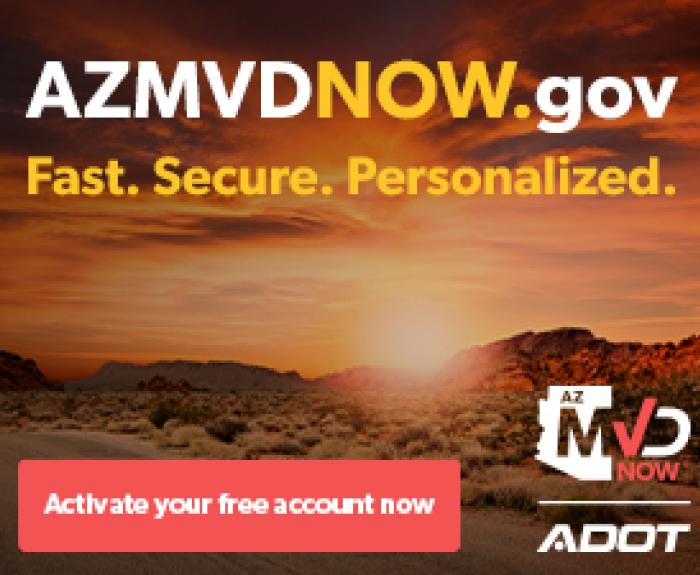 Online MVD portal