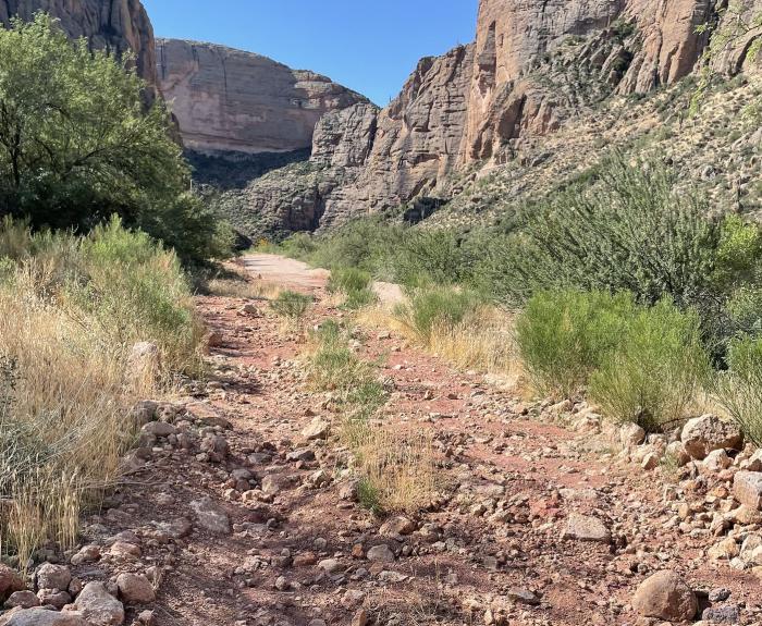 State Route 88 road surface