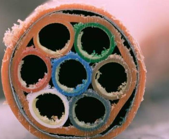 Cross-section of fiber-optic conduit