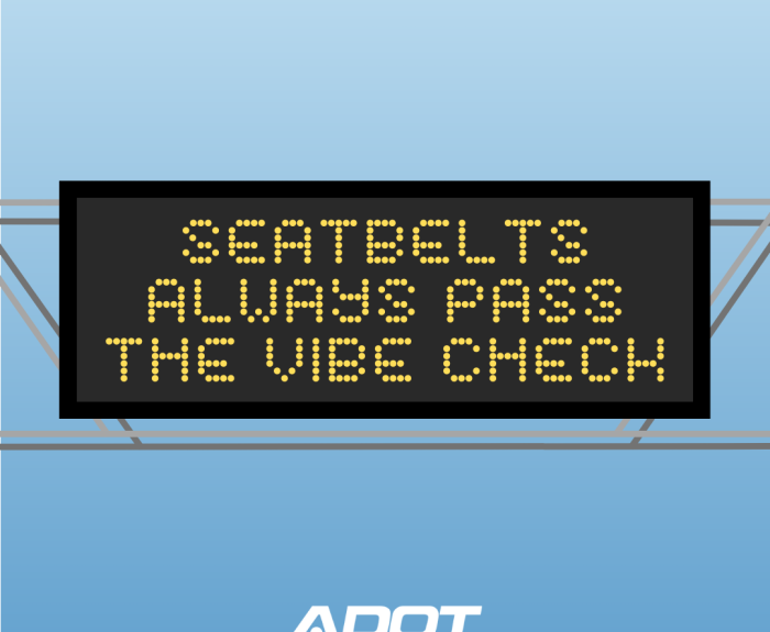 Safety Message: Seatbelts always pass the vibe check
