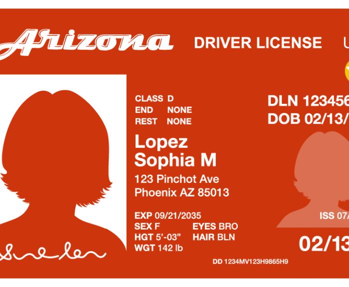 A graphic of the new Arizona Travel ID