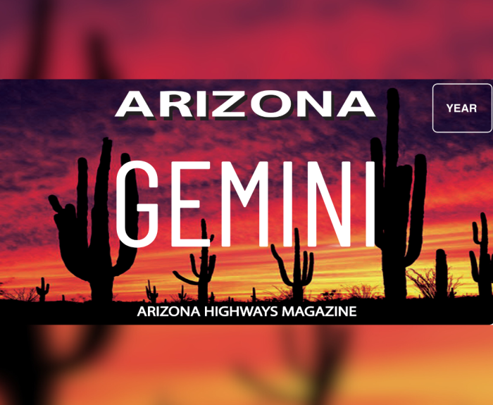 Graphic of the Arizona Highway Magazine specialty plate that says, "Gemini."