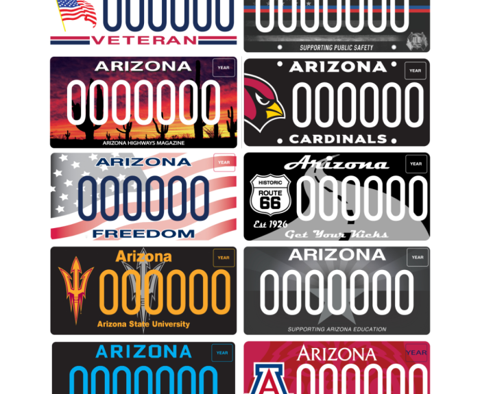 The top 10 specialty plate designs.