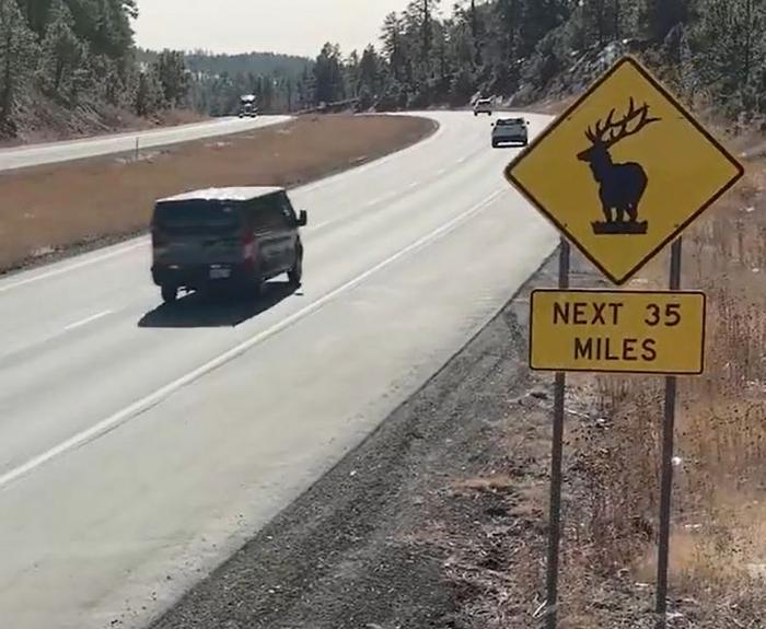 Watch for elk sign
