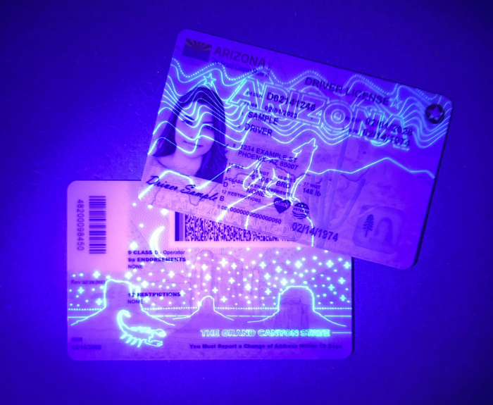 Sample driver licenses under a blacklight.