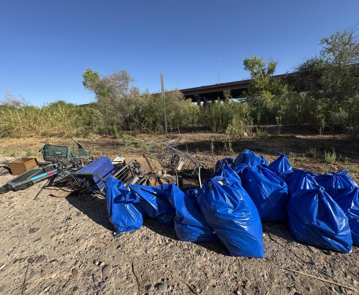 Bags of litter
