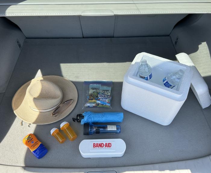 A first aid kit, water bottles, hat, prescriptions and sunscreen in a trunk of a car.