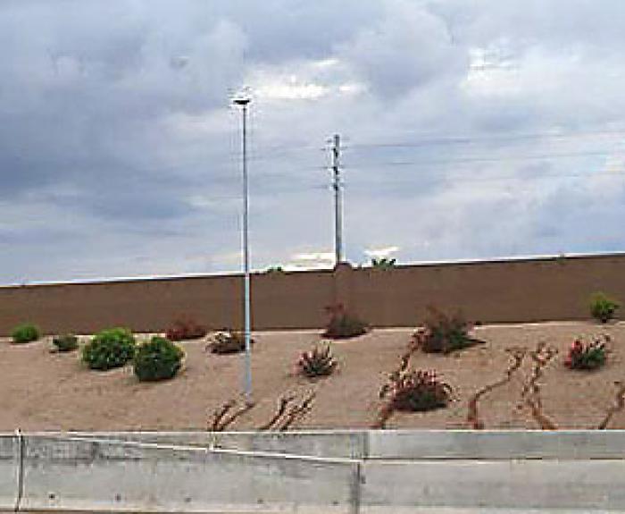 Landscaping on highway