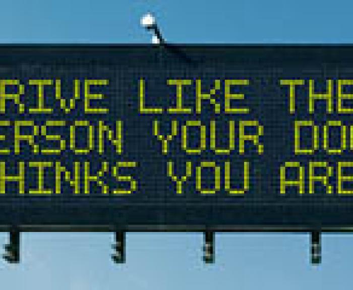 Drive like the person your dog thinks you are