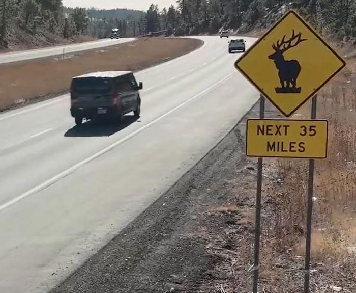 I-17 Elk Advisory Sign (ADOT file photo)