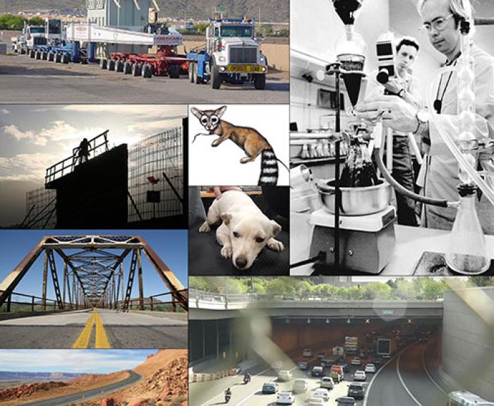 Images from past blogs