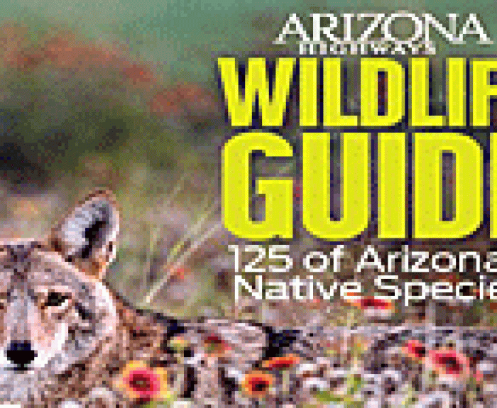 Arizona Wildlife Guide Cover