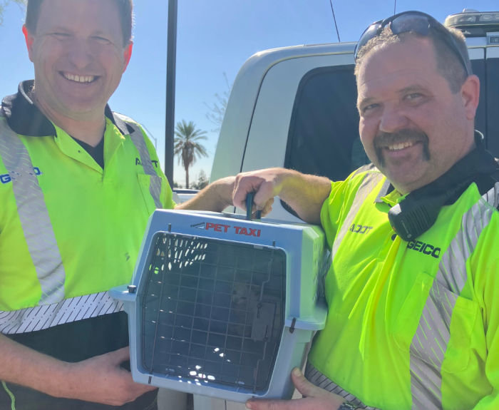 ADOT workers rescues a cat on a highway