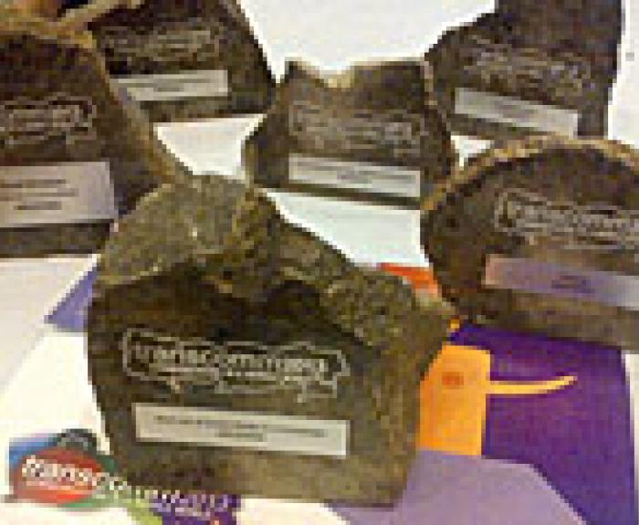Six Stone Carved Trophies for the TransComm Skills Award winners