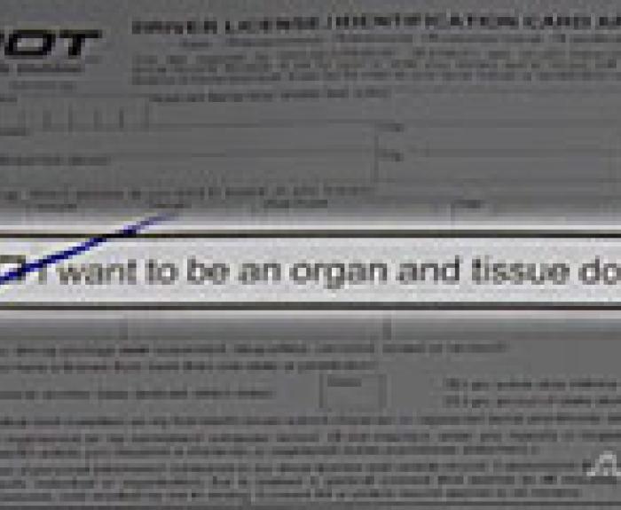 A section of a drivers license application form with a checked box labeled I want to be an organ and tissue donor.