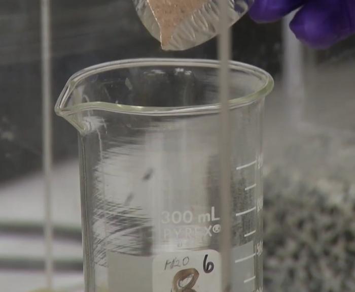 Beaker used to test for calcium carbonate