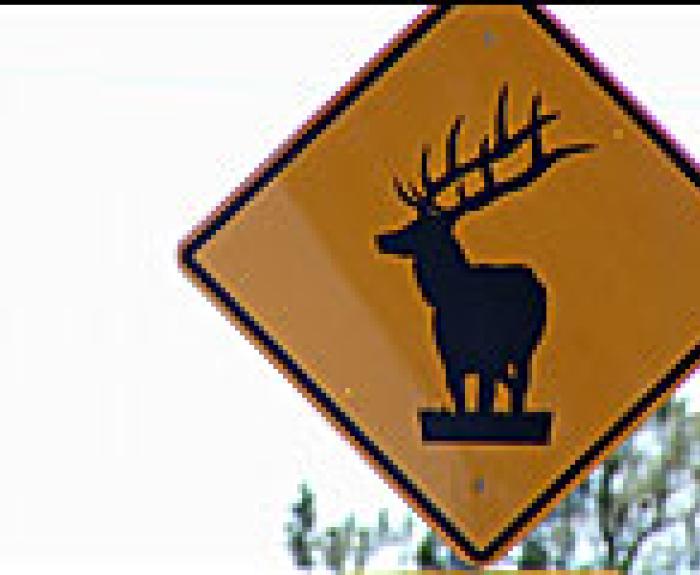 Wildlife Sign