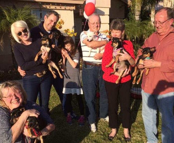 A group of six adults and one child stand outside holding small dogs, smiling together in a sunny yard.