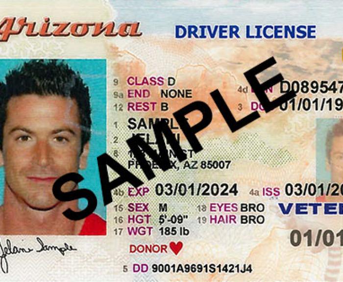 Arizona driver license sample displaying a headshot, personal information, veteran status, and the word SAMPLE printed across the front.