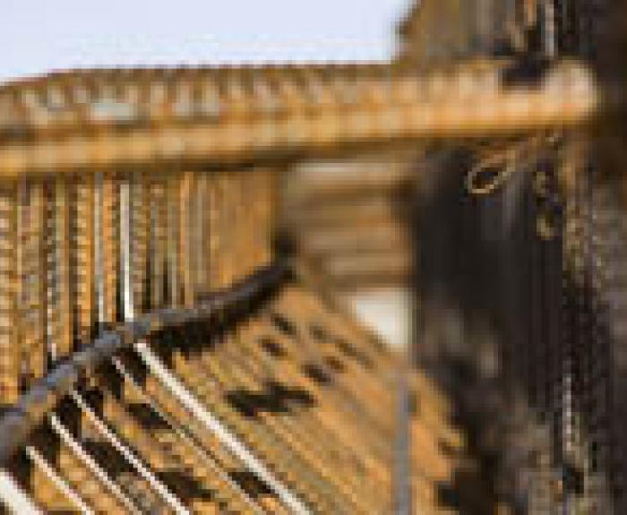 Rebar making an interesting pattern.